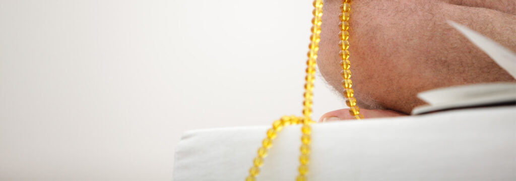 Charla Publica: ¿Qué es el Budismo Camino del Diamante? Noviembre 2023 14 charla publica