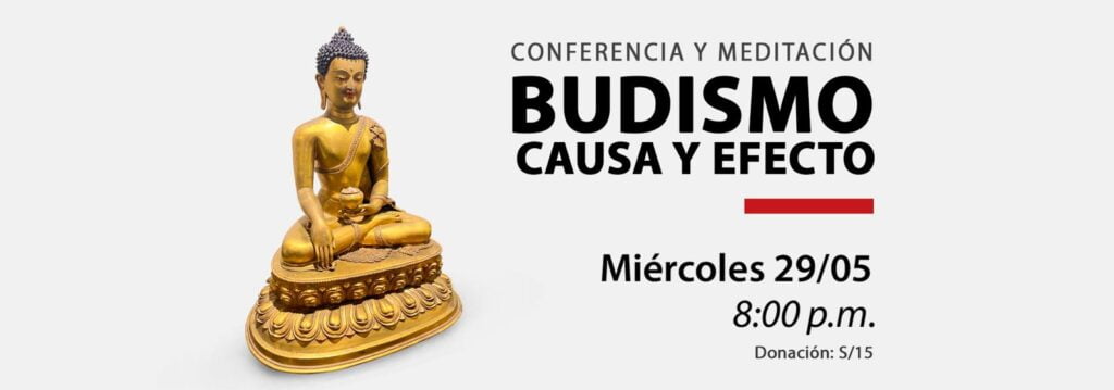 WhatsApp Image 2024 05 15 at 11.45.44