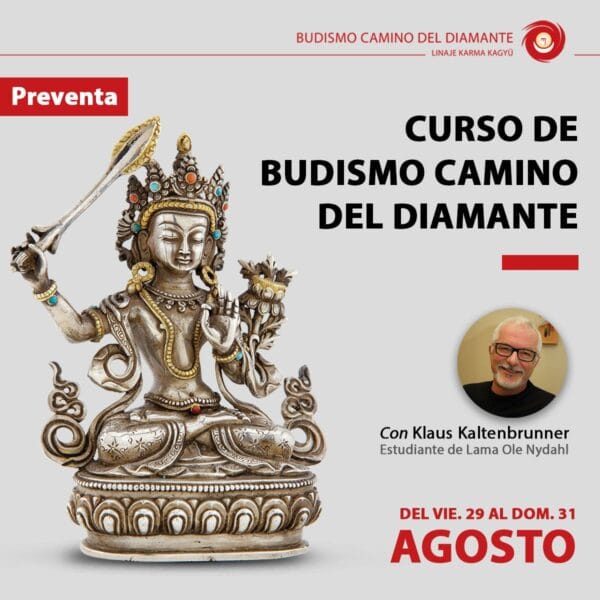 Curso completo sin almuerzos PREVENTA