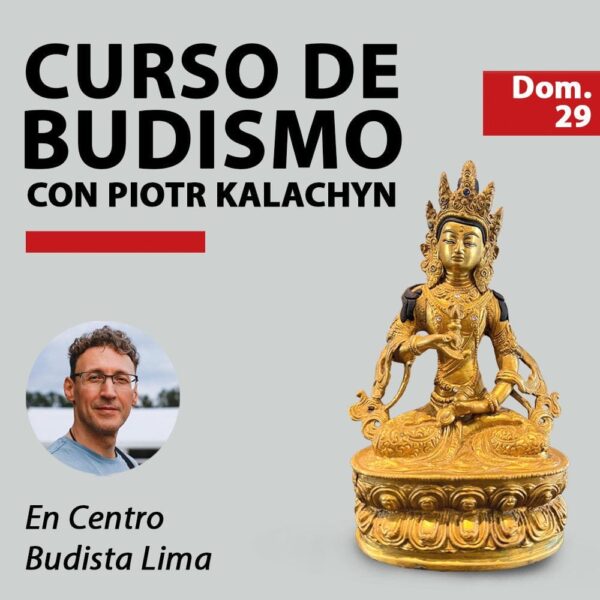 Domingo 29